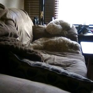 Meet your Posher, Judy